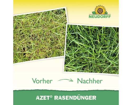Vorher-Nachher-Vergleich von Rasenflächen nach der Anwendung von Azet Rasendünger und Neudorff Logo