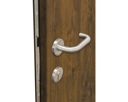 Detailansicht einer Tür mit Türgriff und Schloss