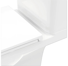 Detailaufnahme einer Toilette mit Spülkasten und Toilettendeckel