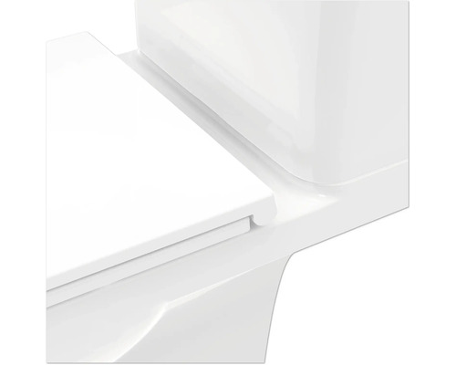 Detailaufnahme einer Toilette mit Spülkasten und Toilettendeckel