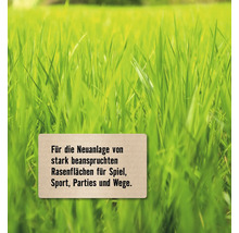 Grünfläche mit Text für die Neuanlage von Rasenflächen für Spiel, Sport, Parties und Wege