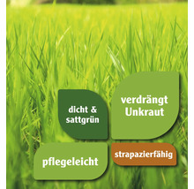 Symbolische Darstellung mit Produkteigenschaften für dichten, sattgrünen Rasen, Unkrautverdrängung, pflegeleichte und strapazierfähige Beschaffenheit