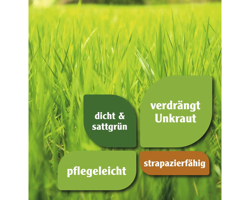 Symbolische Darstellung mit Produkteigenschaften für dichten, sattgrünen Rasen, Unkrautverdrängung, pflegeleichte und strapazierfähige Beschaffenheit