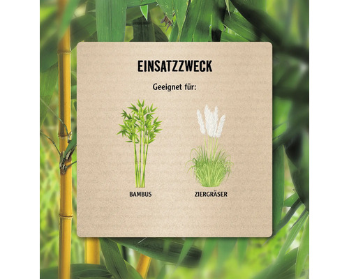 Informationen zur Verwendung von Bambus und Ziergräsern