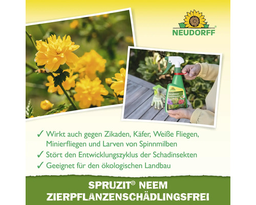 Neudorff Logo. Zierpflanzen Schädlingsfrei Sprüzit Neem gegen Zikaden, Käfer, Weiße Fliegen, Minierfliegen und Larven von Spinnmilben.