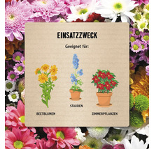 Illustration verschiedener Blumenarten: Beetblumen, Stauden und Zimmerpflanzen