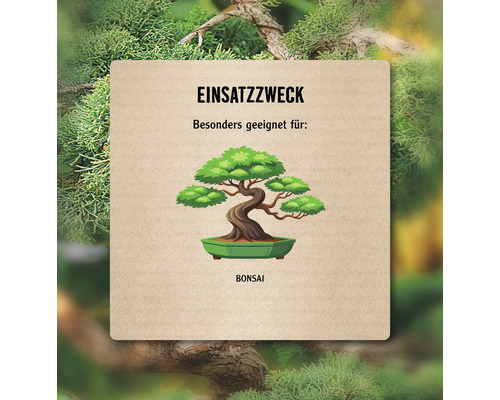 Verwendungszweck: besonders geeignet für Bonsai