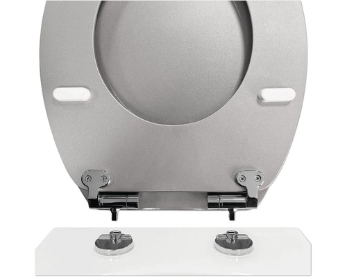 Toilettensitz mit Befestigung