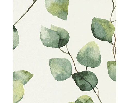 Illustration mit Eukalyptusblättern und Zweigen