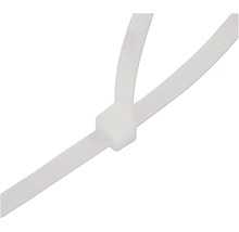 Kabelbinder aus Kunststoff