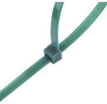 Kabelbinder aus Kunststoff