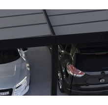 Doppelcarport mit zwei parkenden Autos