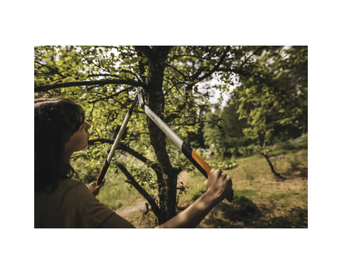 Eine Frau beschneidet einen Baum mit einer Astschere