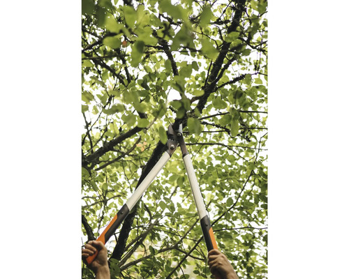 Baumpflege mit einer Astschere in einem Baum