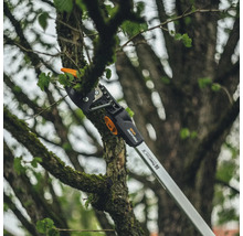 Astschneider schneidet Ast im Baum