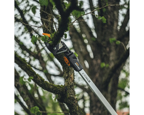 Astschneider schneidet Ast im Baum