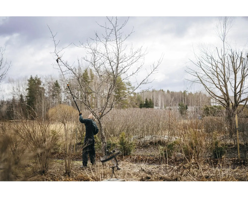 Eine Person beschneidet einen Baum mit einer Astschere im Garten.