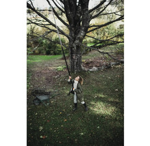 Frau benutzt eine Astschere mit Teleskopstiel unter einem Baum im Garten.