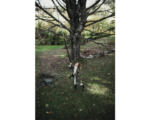 Frau benutzt eine Astschere mit Teleskopstiel unter einem Baum im Garten.