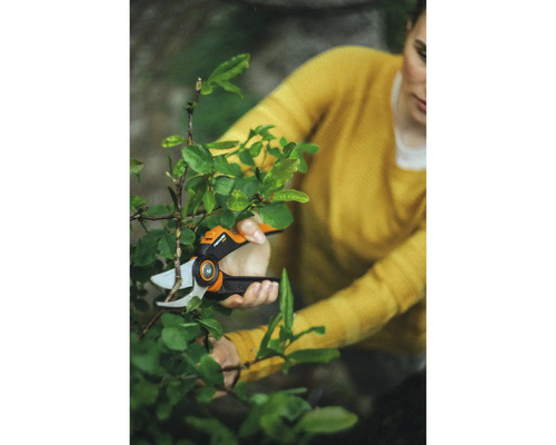 Frau schneidet Busch mit einer Gartenschere