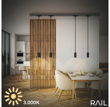 Esszimmer mit Esstisch und Rail Pendelleuchten mit 3000 Kelvin Lichtfarbe