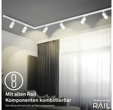 Modernes Wohnzimmer mit einem weißen Schienensystem mit Strahlern an der Decke.