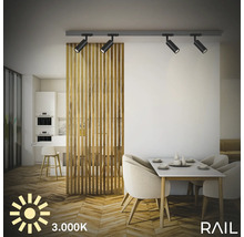Wohnraum mit Schienensystem inklusive Spots, Esstisch und Raumtrenner
