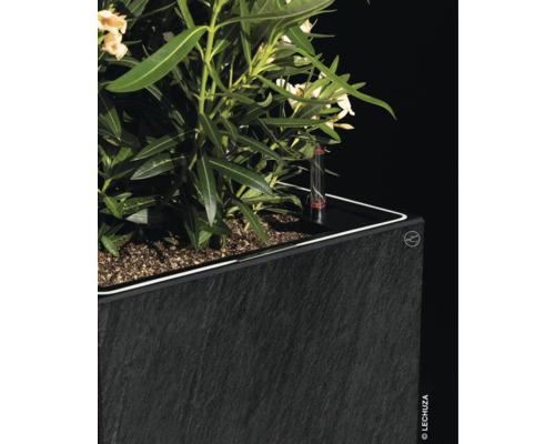 Blumenkasten mit Pflanze und Bewässerungssystem