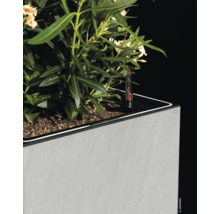 Blumenkübel mit Bewässerungssystem und Pflanze