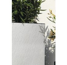 Blumenkasten mit Pflanzen und Füllstandsanzeiger