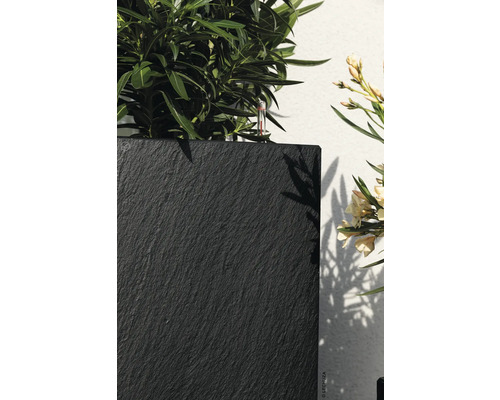 Detailaufnahme eines Pflanzgefäßes aus Schiefer mit Pflanzen