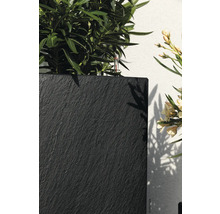 Nahaufnahme eines Pflanzgefäßes mit Schieferstruktur und Pflanzen