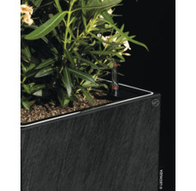 Bepflanzter Pflanzkübel mit Bewässerungssystem