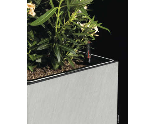 Blumenkasten mit Pflanze und Wasserstandsanzeiger