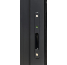 Detailansicht einer Tür mit integriertem Griff und integrierter Wasserwaage.