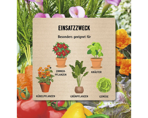 Illustration verschiedener Pflanzenarten und ihres Verwendungszwecks.