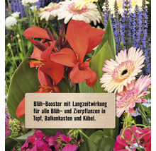 Düngestäbchen für Blühpflanzen & Zierpflanzen FloraSelf Select, 30 Stk.