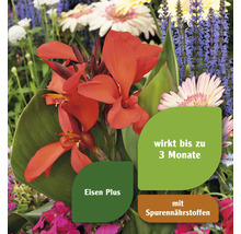 Düngestäbchen für Blühpflanzen & Zierpflanzen FloraSelf Select, 30 Stk.