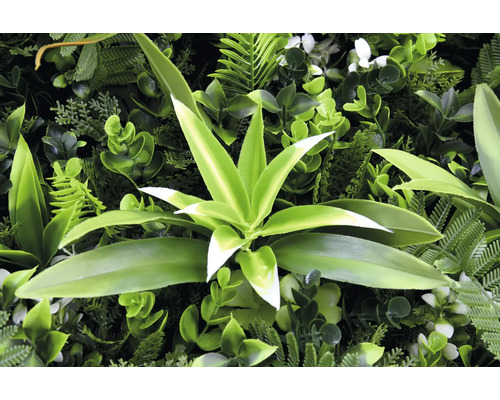 Künstliche Pflanzenwand mit verschiedenen grünen Pflanzen und Blättern