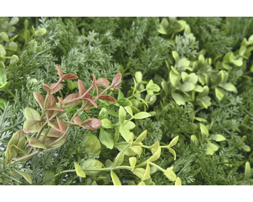 Nahaufnahme einer künstlichen Pflanzenwand mit verschiedenen Grüns