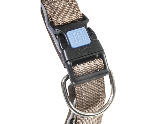Detailansicht eines Hundehalsbands mit Schnalle und Metallring