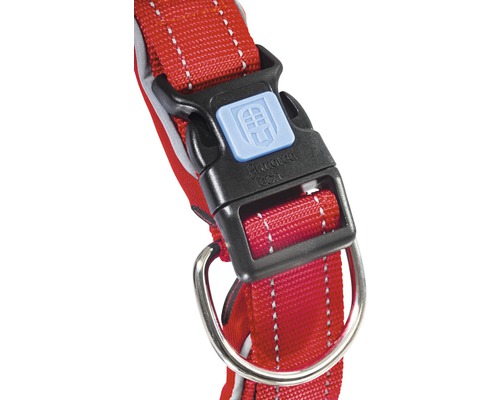 Detailansicht eines roten Hundehalsbands mit Verschluss und D-Ring