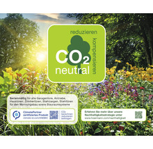 Gartenhaus Hörmann EcoStar Euroline Flachdach, Einzeltür 237 x 325 cm grau