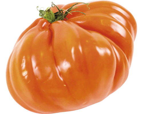 Bio Ochsenherztomate FloraSelf Bio Lycopersicum esculentum var. esculentum 'Ochsenherz' Ø 11 cm Topf Bio Ochsenherztomate FloraSelf Bio Lycopersicum esculentum var. esculentum 'Ochsenherz' Ø 11 cm Topf