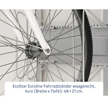EcoStar Euroline Fahrradständer zur horizontalen Wandmontage mit Fahrrad