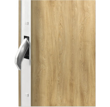 Detail einer Holztür mit Türgriff