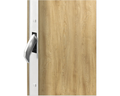 Detail einer Holztür mit Türgriff