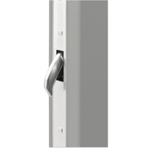 Detailaufnahme eines Fenstergriffs aus Metall