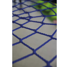 Detailaufnahme eines blauen Fangnetzes.