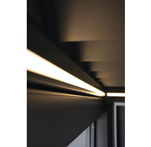 LED-Beleuchtung Biohort für Pergola Gr. 4x3,5